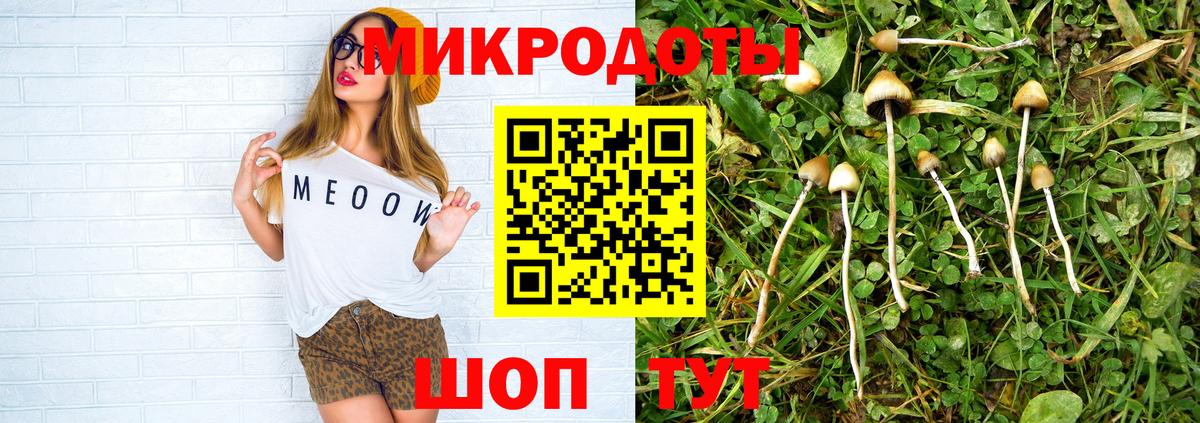 Кунгур  Псилоцибиновые грибы Magic Shrooms  магазин    Вход с VPN 